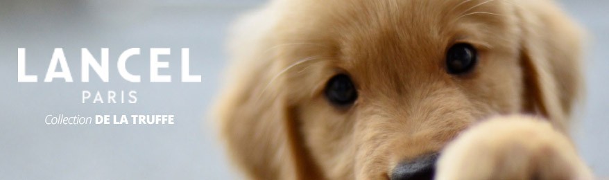 DESTOCKAGE LANCEL | Laisse pour chien LANCEL de la TRUFFE en soldes