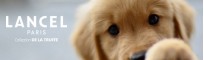 DESTOCKAGE LANCEL | Laisse pour chien LANCEL de la TRUFFE en soldes